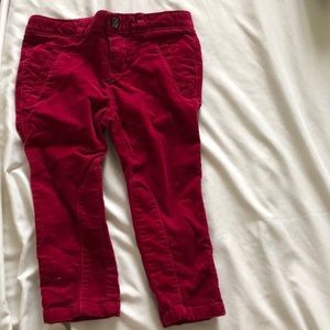 Velvet BABY pants